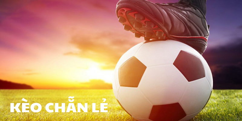 Kèo chẵn lẻ Chiến Lược Cược Kèo Chẵn Lẻ Hiệu Quả